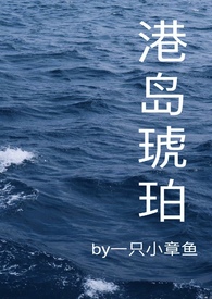 香港琥珀集团封面